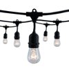Bulbrite 48 ft. Plug-in Edison Bulb S14 Vintage Style LED Black String Light w/15 sockets-Bulbs included 812482